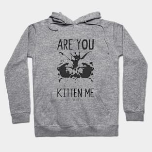 Are you Kitten Me? Hoodie